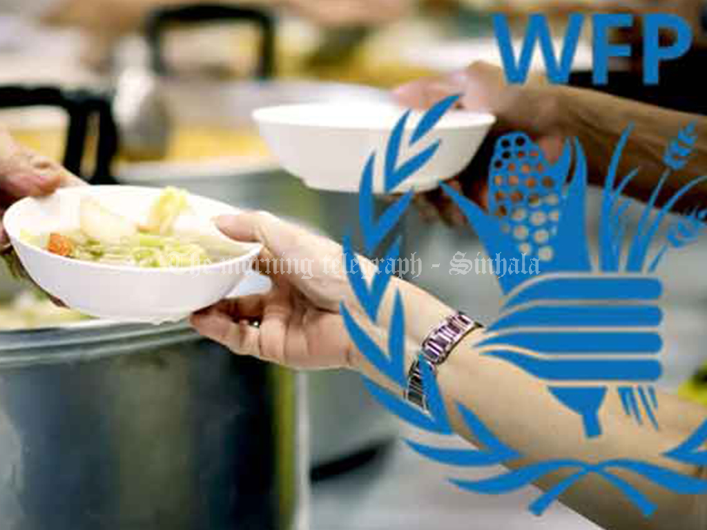 N6