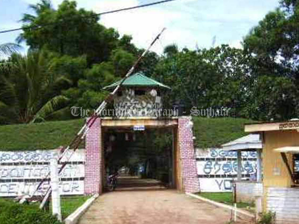 N12.